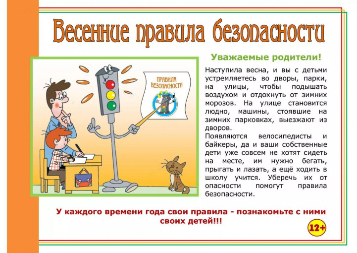Безопасная весна Безопасная весна.